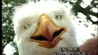 Eagleman  The Original 