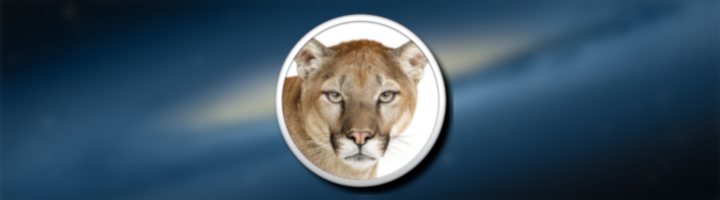 Mountain Lion Banner