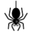 spider