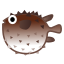 blowfish