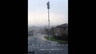 Oh My God Trampoline