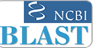 NCBI Blast