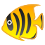 tropical_fish