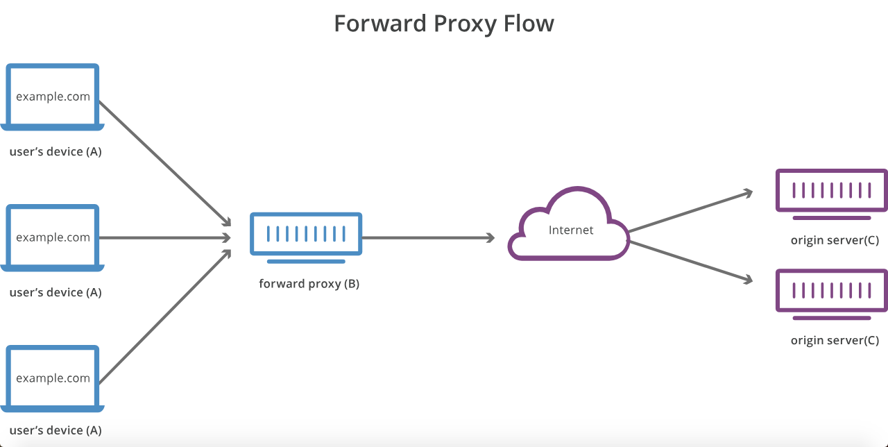 forward proxy