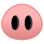 pig_nose