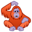 orangutan