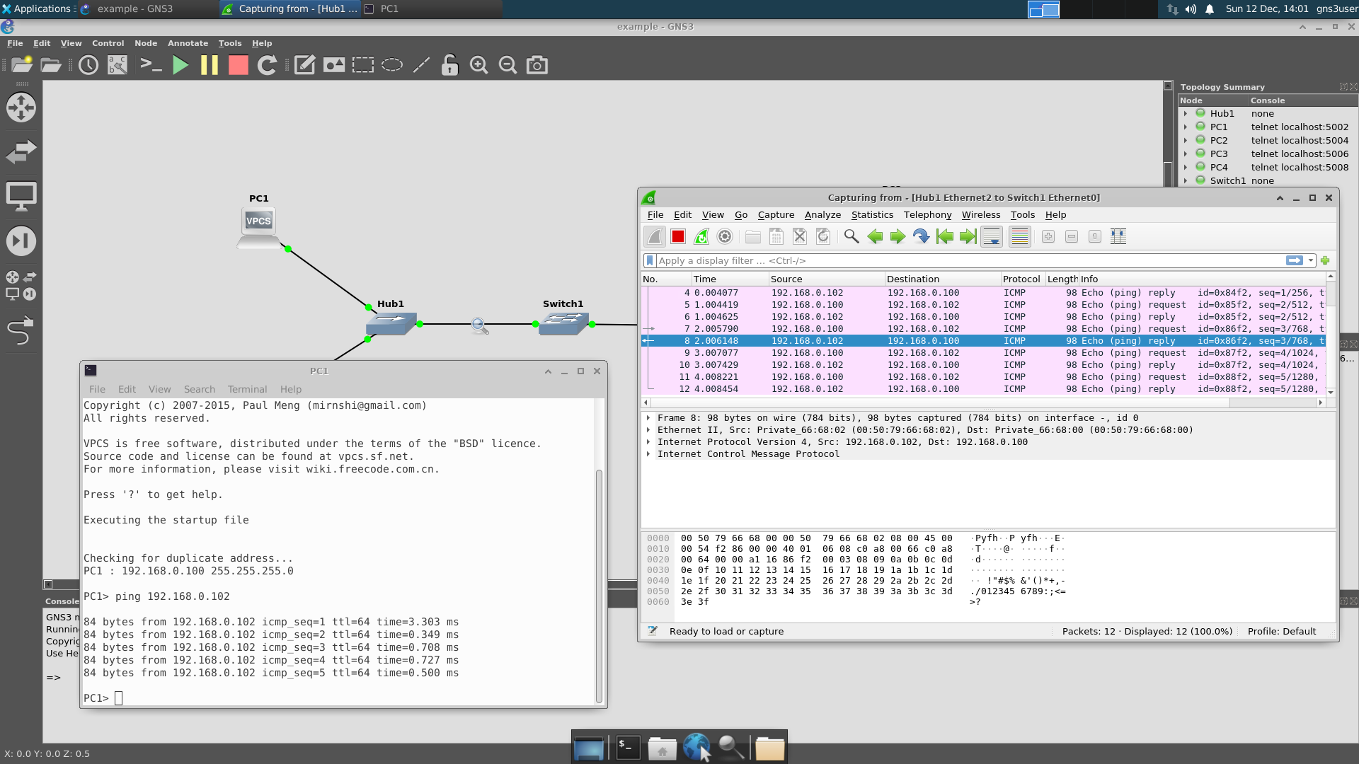 Wireshark ping capture