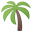 palm_tree