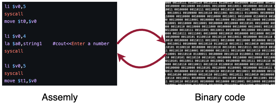 Assembly and binary code