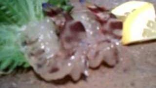 くるまえび　Dancing Sashimi