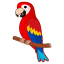 parrot