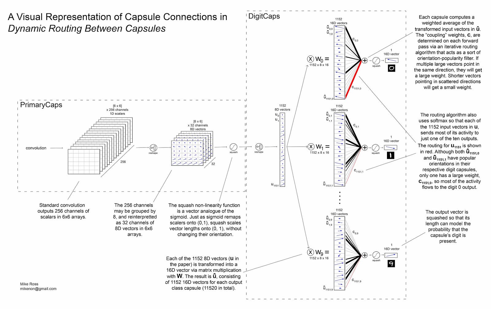 capsules_visual_representation