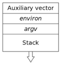 Auxiliary vector