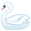 swan