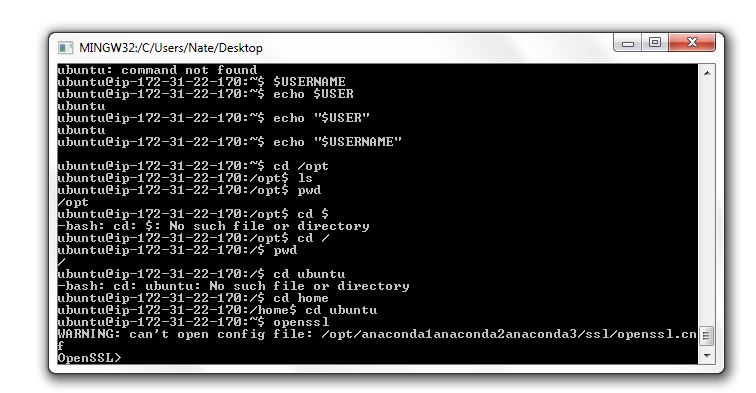 Issues with OpenSSL can't open config file